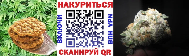 Canna-Cookies конопля Ногинск