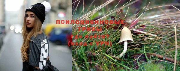 спайс Зерноград