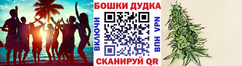 Канабис ГИДРОПОН Ногинск